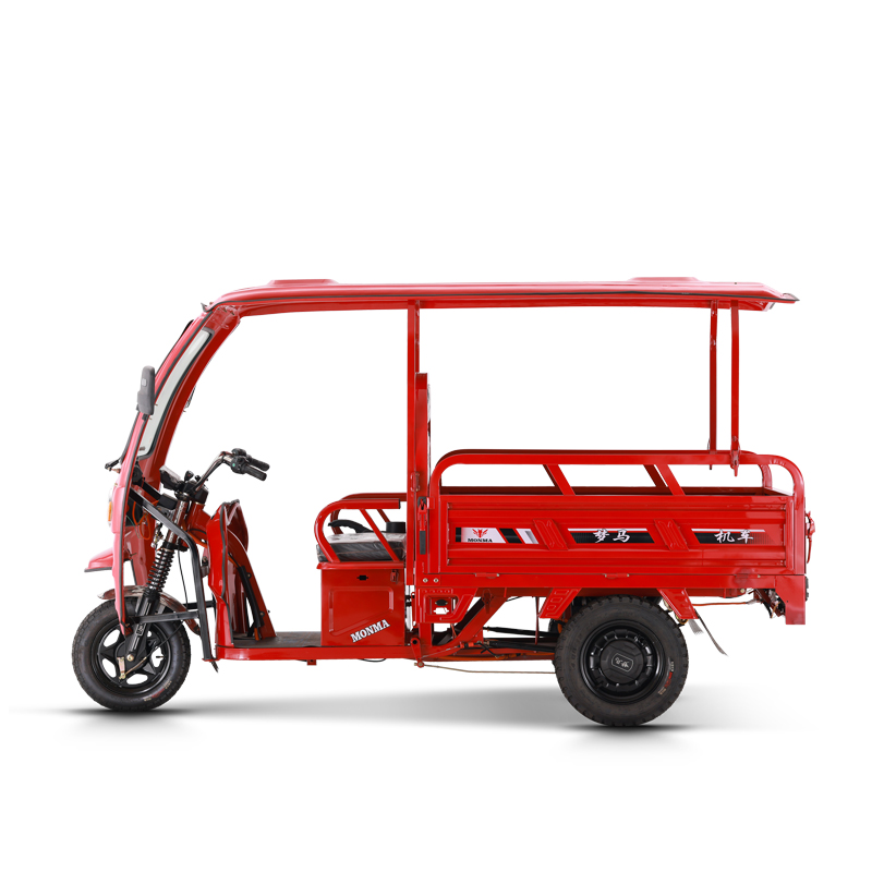 tricycle recumbent vehentem