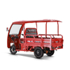 adultus tricycles