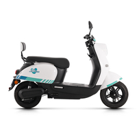 bike electric bundok